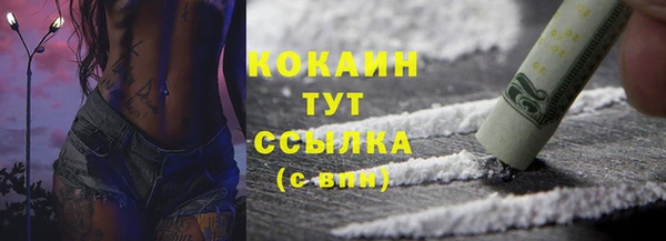 трава Елизово