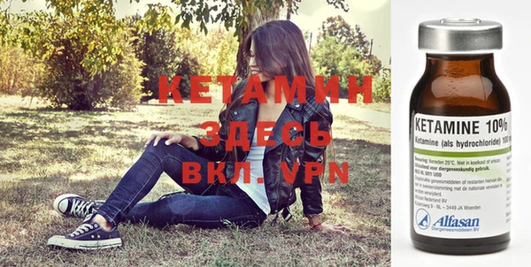 трава Елизово